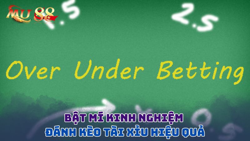 Bật mí kinh nghiệm đánh tài xỉu hiệu quả